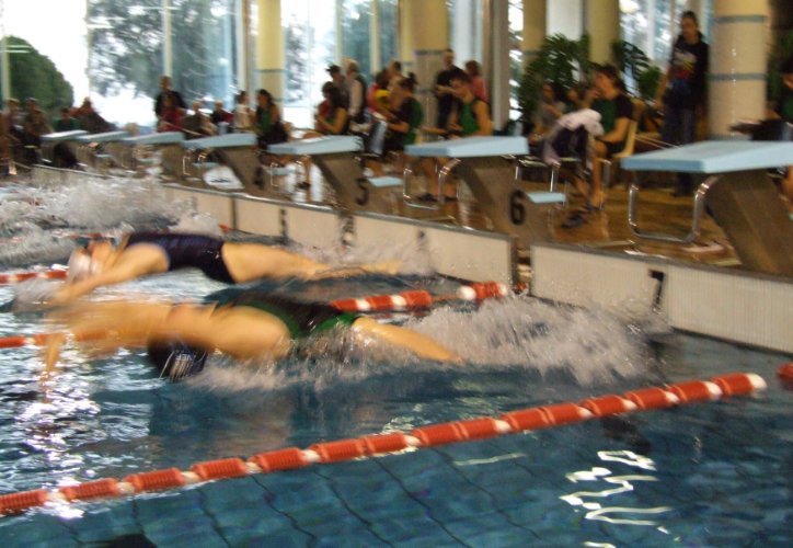 Activitats per Adults