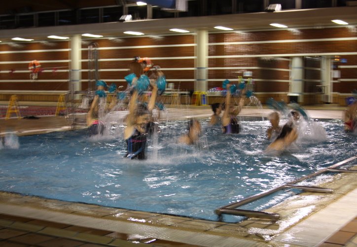 Activitats per Adults