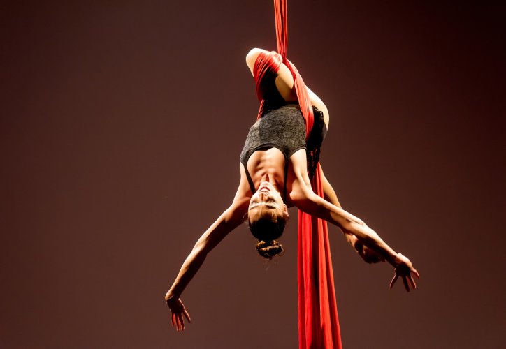 Expressió - Circ - Dansa
