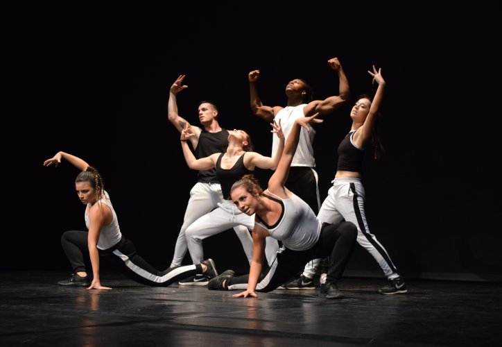 Expressió - Circ - Dansa