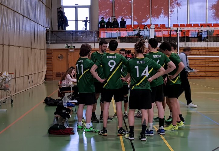 Voleibol